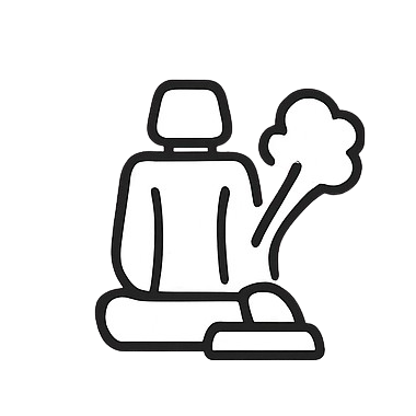 Seat Steam Cleaning