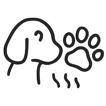 Odor & Pet Hair Removal